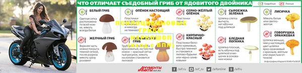 трава Балабаново