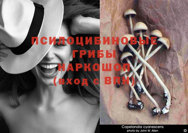 твердый Белоозёрский