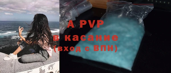 spice Богородицк