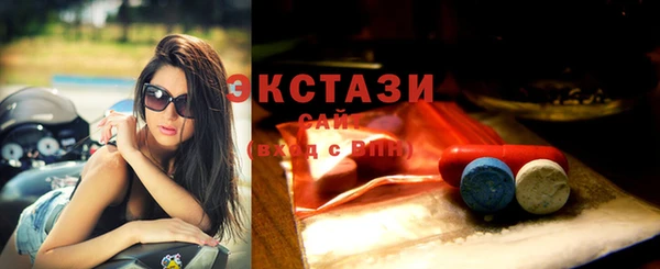 spice Богородицк