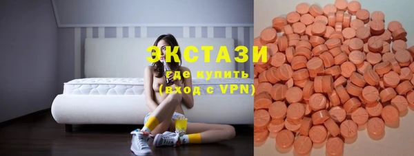 spice Богородицк