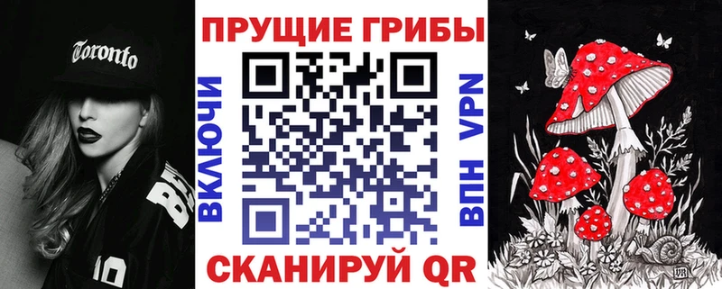Галлюциногенные грибы Psilocybe  Катав-Ивановск 